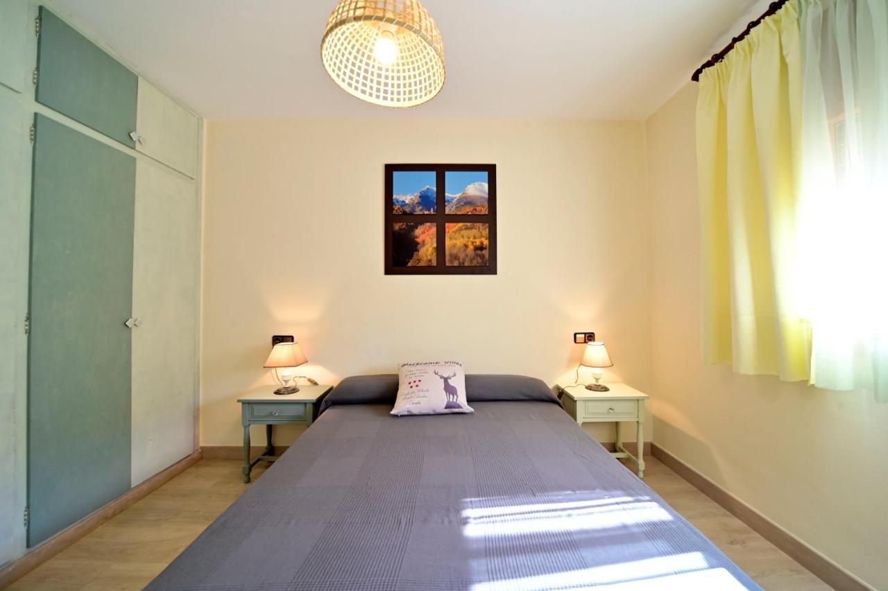Casa Guineu Apartment Esterri D'Aneu Bagian luar foto